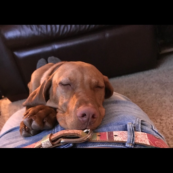 Meet your Posher, Lisa - Picture 2 of 3